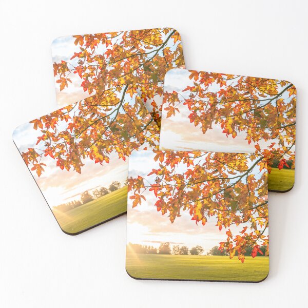 Item preview, Sun Rays and Autumn Leaves designed and sold by assaf.