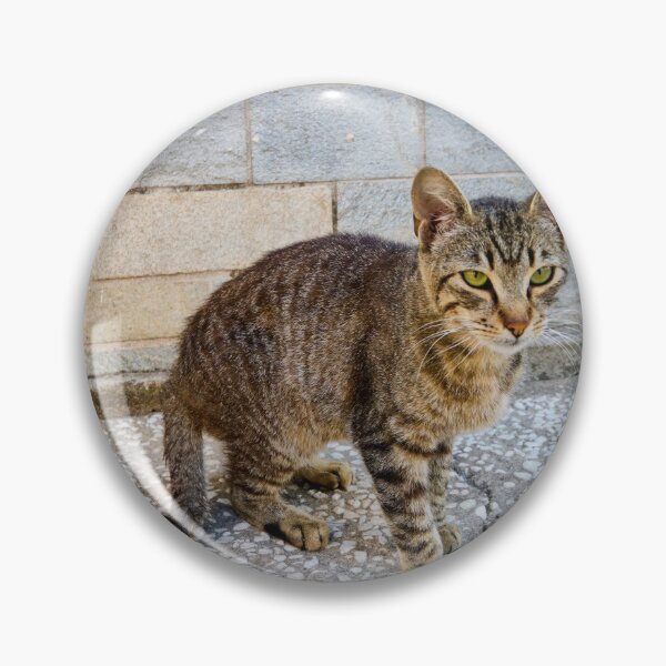 Item preview, Green eyes and stripes cat 2 designed and sold by Jouko Lehto Photography.