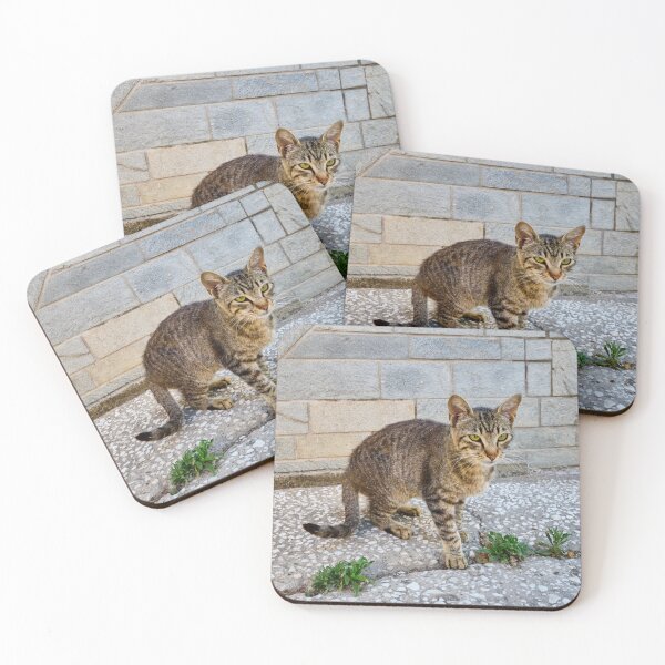 Item preview, Green eyes and stripes cat 2 designed and sold by Jouko Lehto Photography.