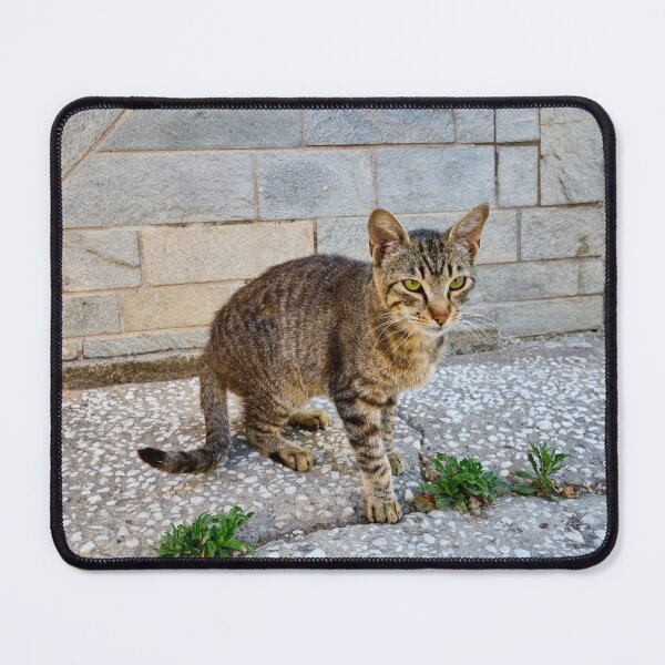 Item preview, Green eyes and stripes cat 2 designed and sold by Jouko Lehto Photography.