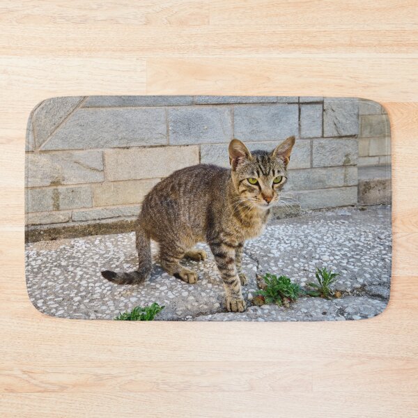 Item preview, Green eyes and stripes cat 2 designed and sold by Jouko Lehto Photography.