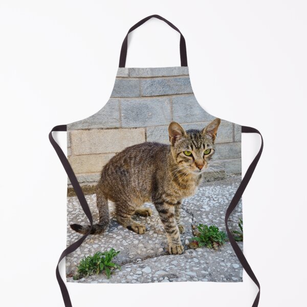 Item preview, Green eyes and stripes cat 2 designed and sold by Jouko Lehto Photography.