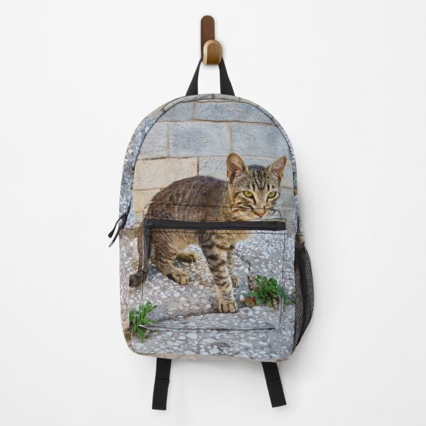 Item preview, Green eyes and stripes cat 2 designed and sold by Jouko Lehto Photography.