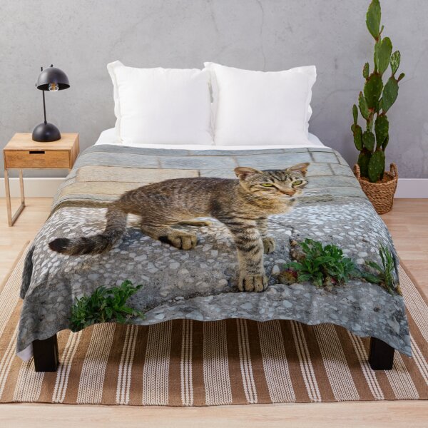 Item preview, Green eyes and stripes cat 2 designed and sold by Jouko Lehto Photography.