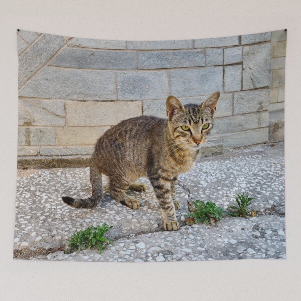Item preview, Green eyes and stripes cat 2 designed and sold by Jouko Lehto Photography.