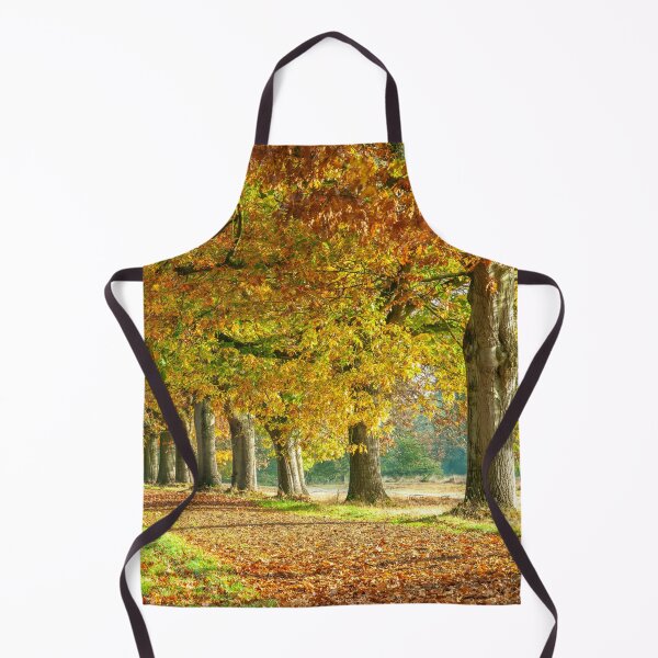 Artikelvorschau, Herbstwald entworfen und verkauft von assaf.