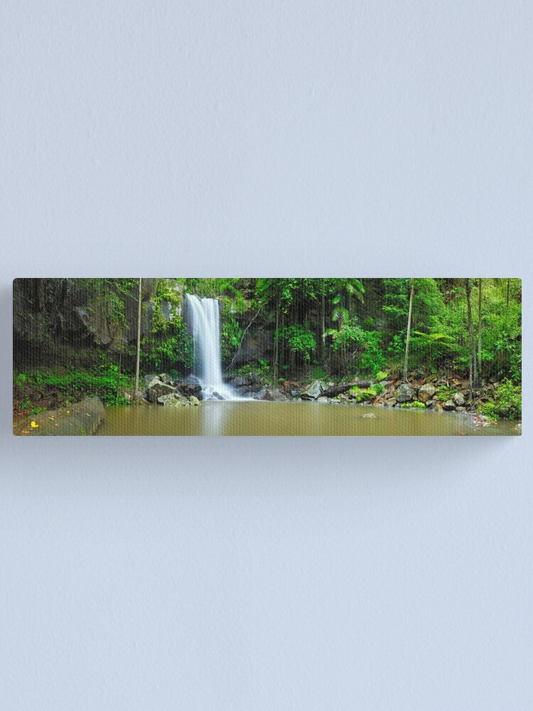 Alternate view of Curtis Falls, Tamborine National Park, Queensland Canvas Print