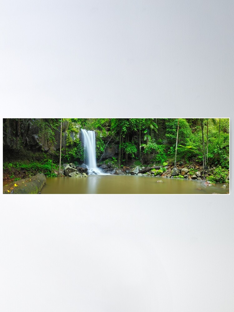 Alternate view of Curtis Falls, Tamborine National Park, Queensland Poster