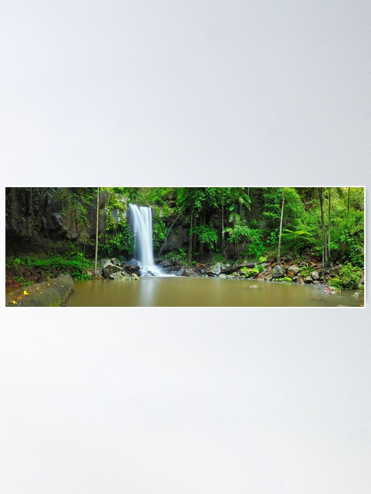 Alternate view of Curtis Falls, Tamborine National Park, Queensland Poster
