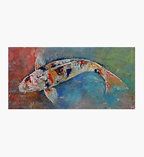 Japanese Koi Photographic Print