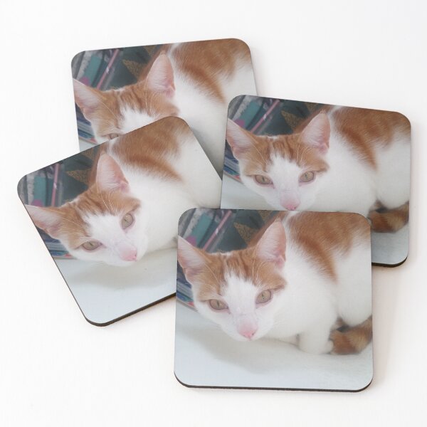 Item preview, #297 |☼| Cat's In The Bag - Marley (Cats) designed and sold by Naean H.F. (Nez Man).