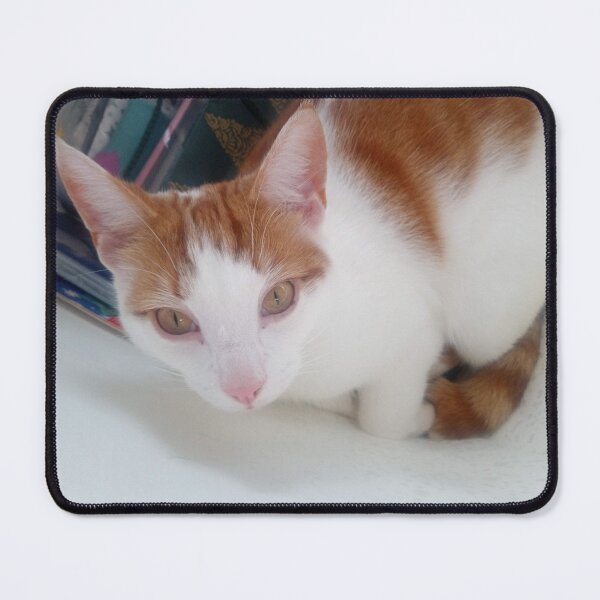 Item preview, #297 |☼| Cat's In The Bag - Marley (Cats) designed and sold by Naean H.F. (Nez Man).