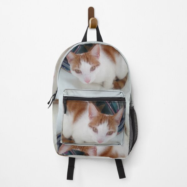 Item preview, #297 |☼| Cat's In The Bag - Marley (Cats) designed and sold by Naean H.F. (Nez Man).