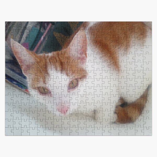 #297 |☼| Cat's In The Bag - Marley (Cats) Jigsaw Puzzle