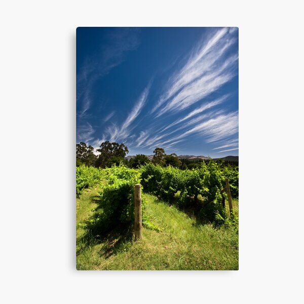 Item preview, Feathertop designed and sold by Jared Revell.