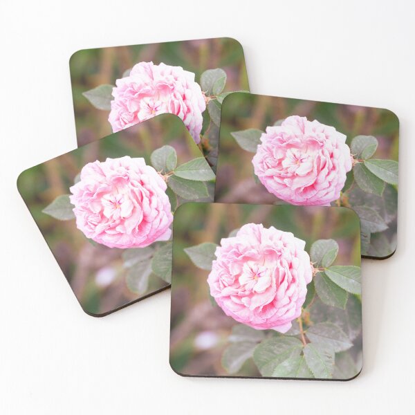 Item preview, Natural Beauty designed and sold by Tanya C  Smith.