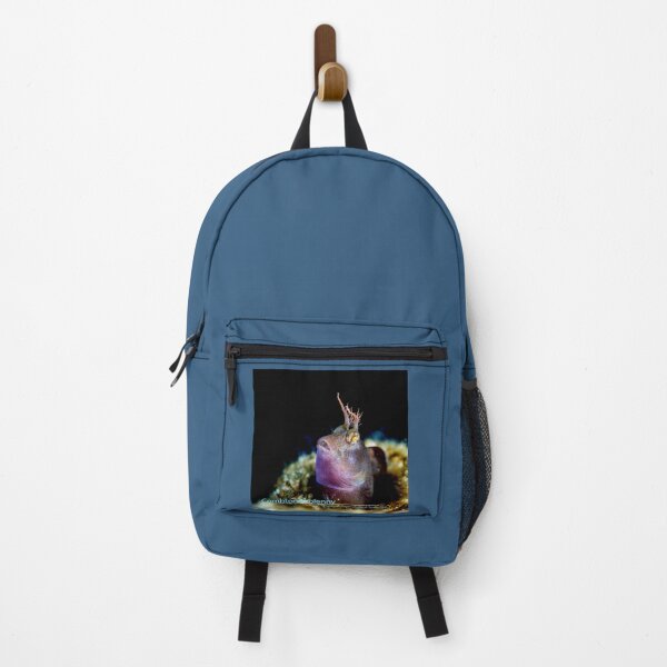 Item preview, Blenny gazing up to the surface designed and sold by tank200bar.