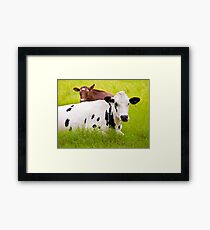 COWS Framed Print