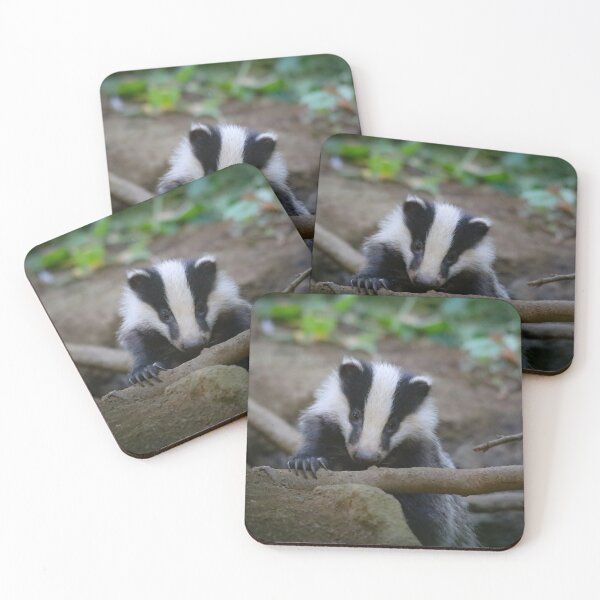 Item preview, Badger Cub designed and sold by ROSS LAWFORD.