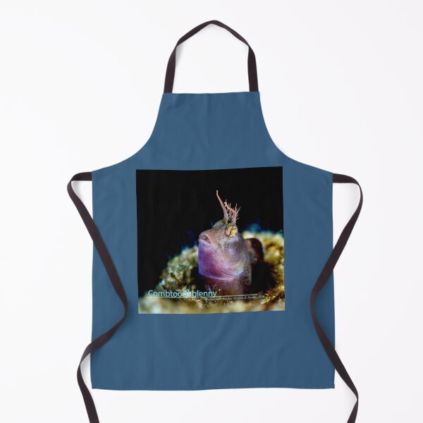 Item preview, Blenny gazing up to the surface designed and sold by tank200bar.