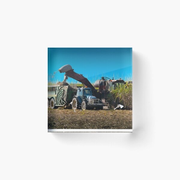 Item preview, Harvesting Sugar Cane - Mackay designed and sold by Coolscapes.