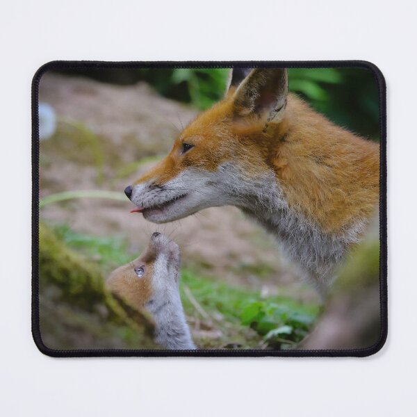 Item preview, Fox Vixen and Cub designed and sold by ROSS LAWFORD.