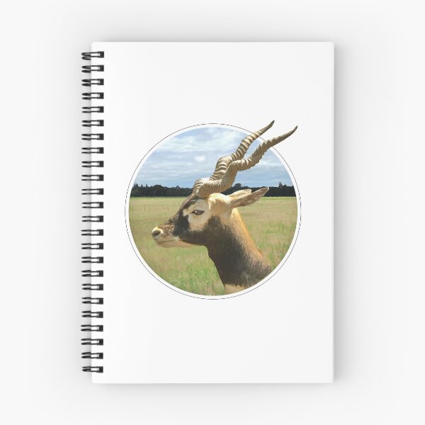 Item preview, Blackbuck designed and sold by Guardi71.