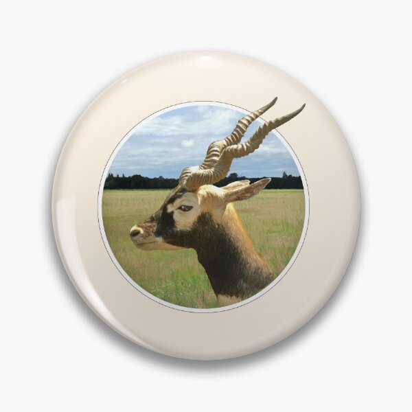 Item preview, Blackbuck designed and sold by Guardi71.