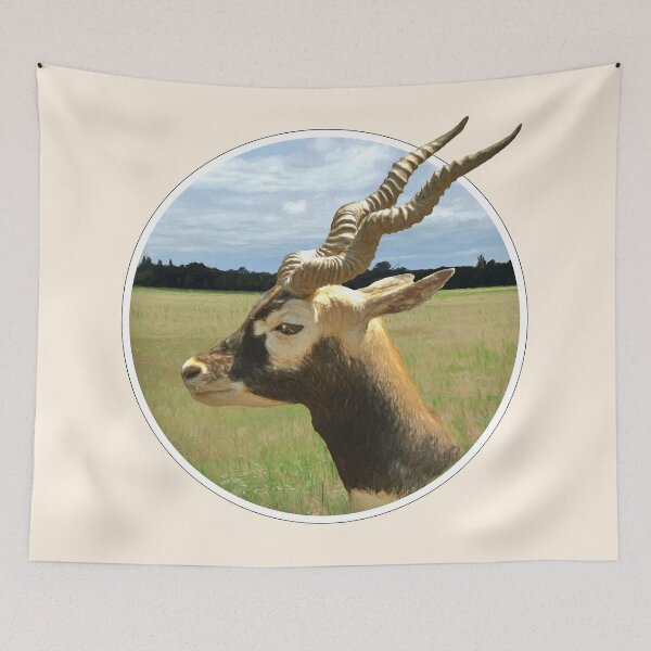 Item preview, Blackbuck designed and sold by Guardi71.