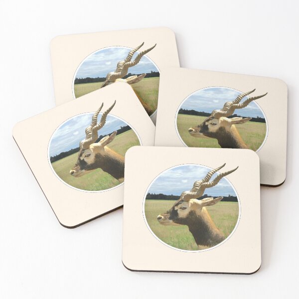 Item preview, Blackbuck designed and sold by Guardi71.