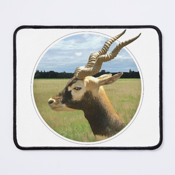 Item preview, Blackbuck designed and sold by Guardi71.