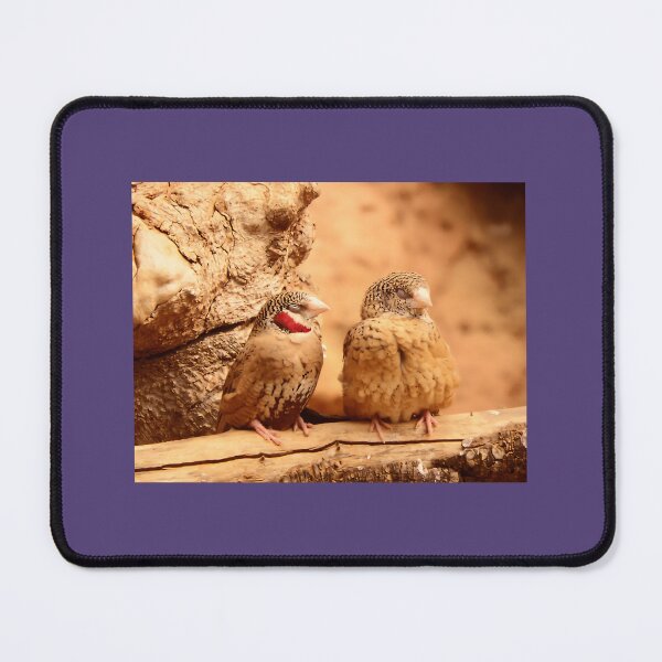 Item preview, Cut Throat Finches designed and sold by qnfhxhoz72.