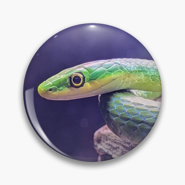 Item preview, Green Python Snake designed and sold by searchlight.