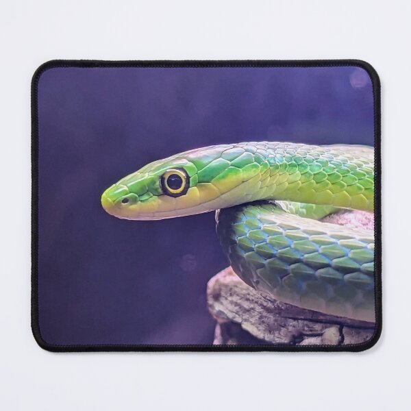 Item preview, Green Python Snake designed and sold by searchlight.