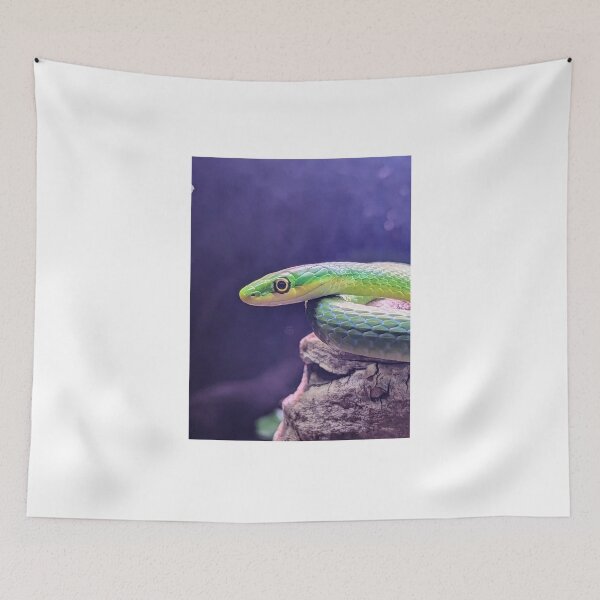 Item preview, Green Python Snake designed and sold by searchlight.