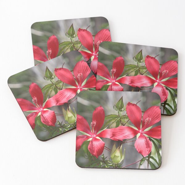 Item preview, Beautiful red Hibiscus, with buds designed and sold by Lexipooh76.