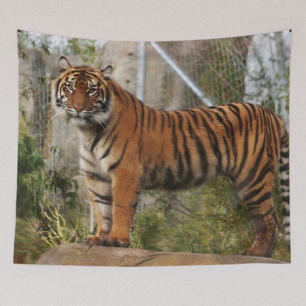 Item preview, Sumatran Tiger designed and sold by AnnDixon.
