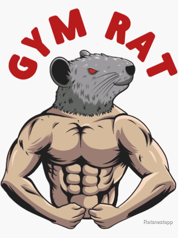 Gym Rat Bodybuilding Fitness Gym' Sticker