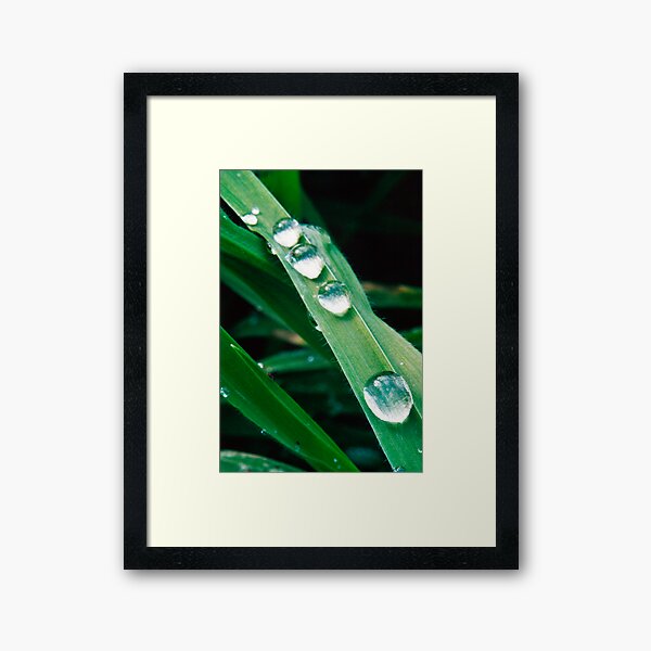Water Slide Framed Art Print