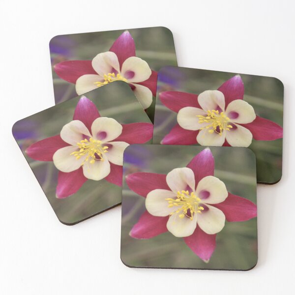 Item preview, pink and cream flower in full bllom designed and sold by Gaynor-dI.