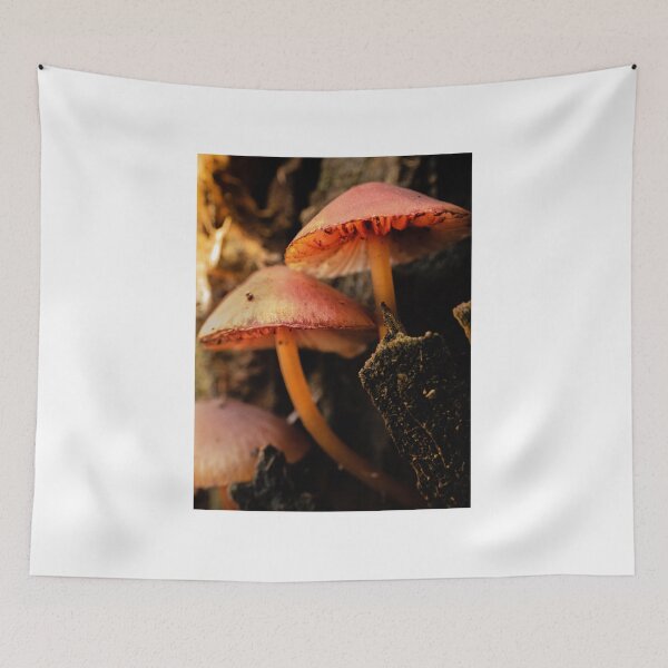 Item preview, Mushrooms macro photography designed and sold by Leazzz.