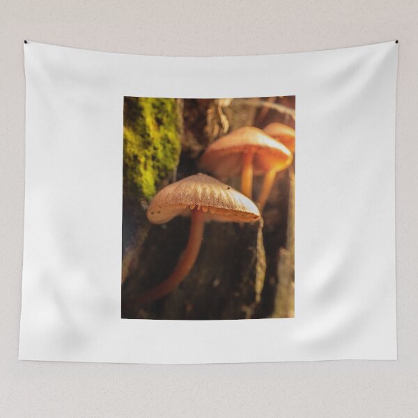 Item preview, Mushrooms macro photography designed and sold by Leazzz.