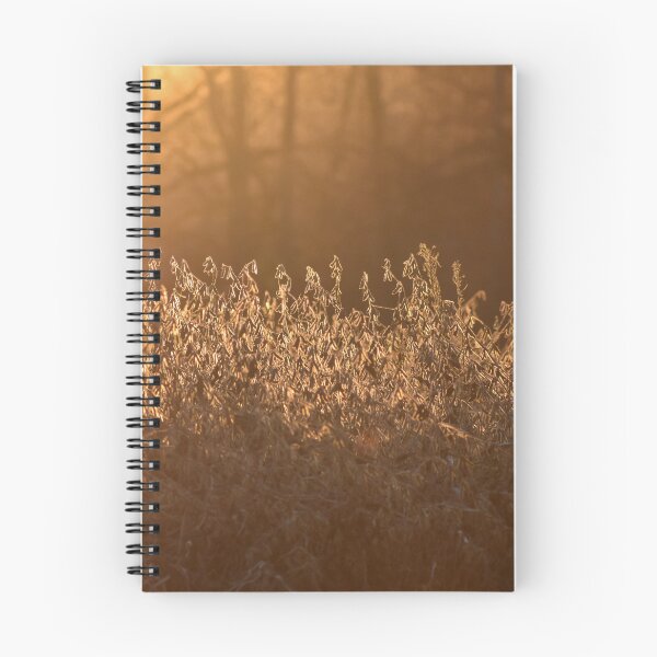 Item preview, Golden Soybean Field designed and sold by athousandwordss.