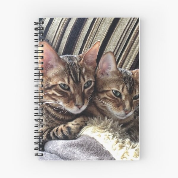 Item preview,  Asha & Tyrion designed and sold by AnnDixon.