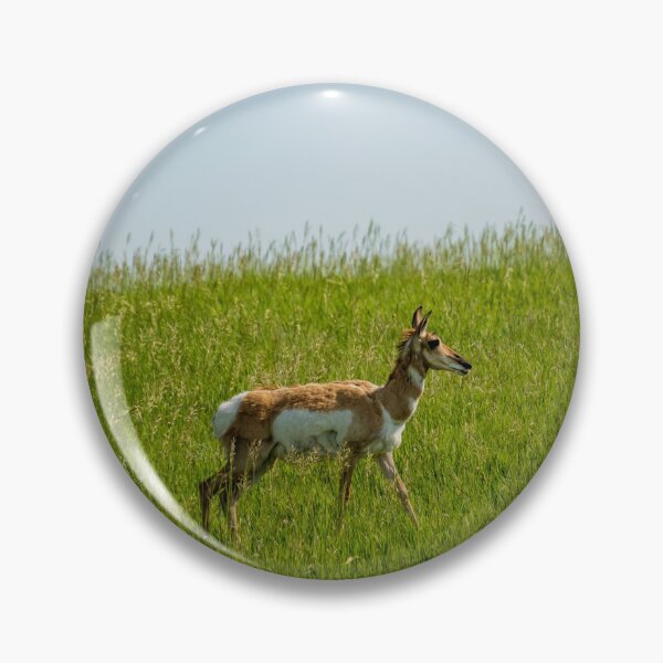 Item preview, Badlands Antelope | Badlands National Park designed and sold by TinyDinoDesigns.