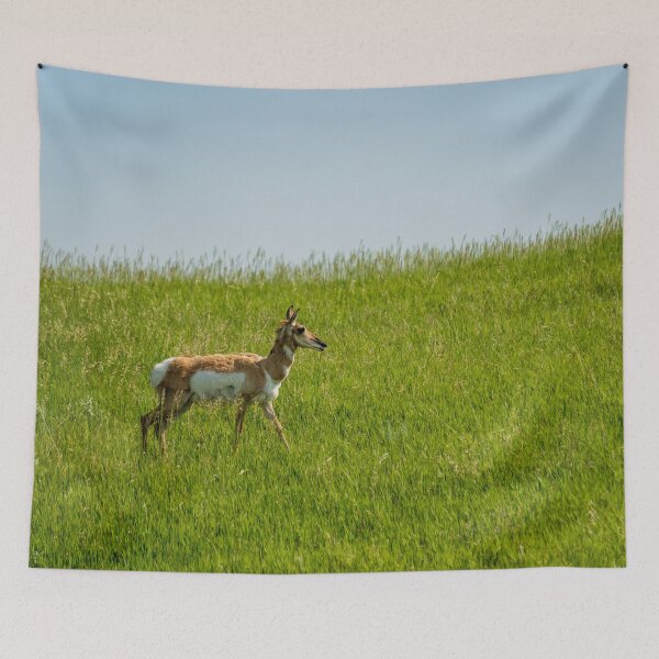 Item preview, Badlands Antelope | Badlands National Park designed and sold by TinyDinoDesigns.