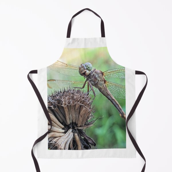Item preview, Dragonfly Macro designed and sold by searchlight.