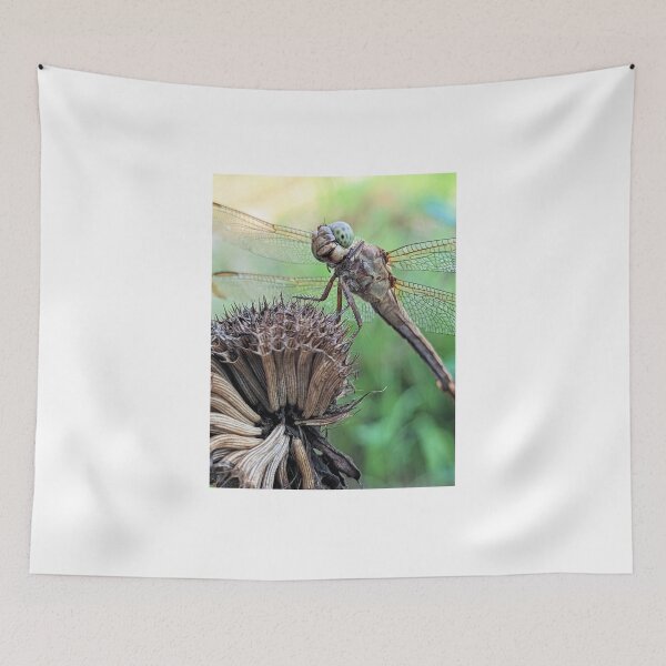 Item preview, Dragonfly Macro designed and sold by searchlight.