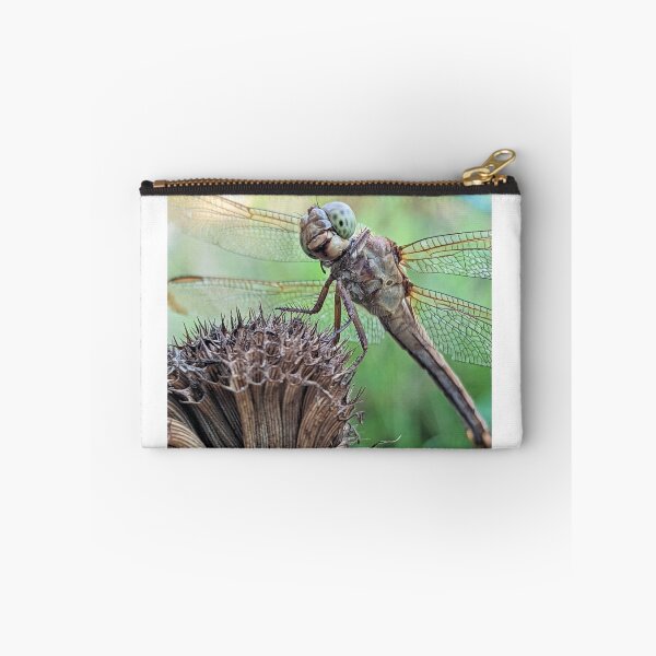 Item preview, Dragonfly Macro designed and sold by searchlight.
