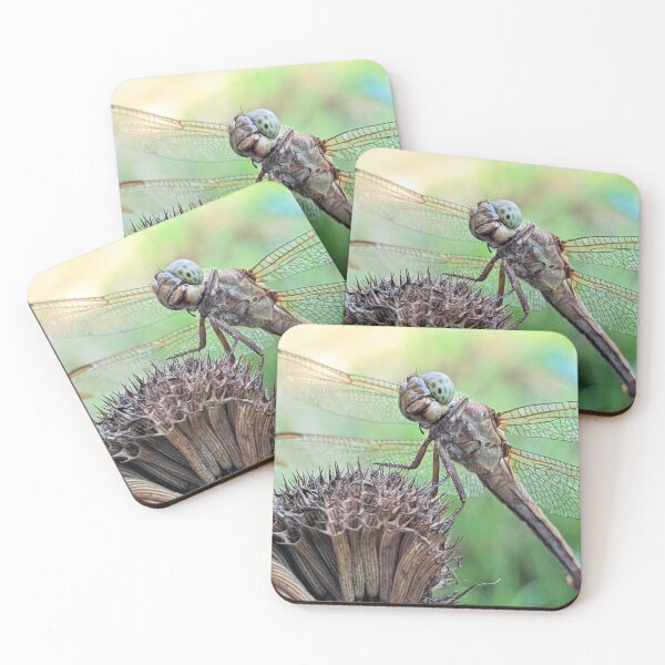 Item preview, Dragonfly Macro designed and sold by searchlight.